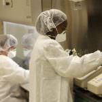 Influenza suina, un affare da 10 miliardi di dollari