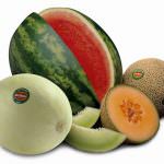Anguria e melone: buona frutta, tanta acqua