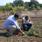 Allevatori di falchi e bio-stilisti: giovani, agricoltori e non convenzionali