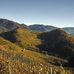 Veneto. Le colline del Prosecco candidate a Patrimonio dell'umanità UNESCO