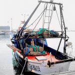 Cresce la domanda per pescaturismo e ittiturismo