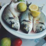 Pesce e frutti di mare proteggono la vista