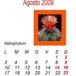 Indicazioni nutrizionali e sulla salute sui prodotti alimentari: per le etichette non in regola, tempo scaduto!