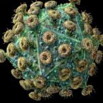 Una corazza cellulare contro l'AIDS