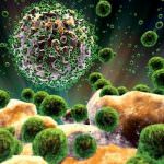 AIDS, un gel vaginale dimezza il rischio di contagio