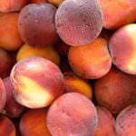 Bauletto di 3 kg di pesche a prezzi convenienti - Iniziativa a sostegno della produzione di questo frutto