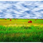 Argentina: Un grande passo avanti contro la povertà, nascono i mercati agroalimentari familiari