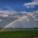 LUIGI GRUPPI E' IL PRESIDENTE DEL CONSIGLIO DI SORVEGLIANZA DELLA NUOVA HOLDING