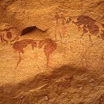 Bufalo, animale produttore di carne