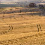 Il futuro della Politica Agricola Comune analizzato da Carlo Petrini e José Bové