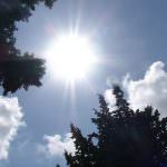 Poco sole in gravidanza, più rischio sclerosi multipla per il bambino