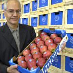 VOG, le prospettive della prossima campagna melicola e il bilancio della stagione commerciale 2008/09