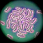 Dall'influenza all'HIV: ecco Nanolab, il kit per la diagnosi fai da te