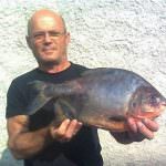 Un piranha pescato nel Po