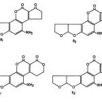 Micotossine nei prodotti alimentari
