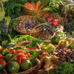 Frutta e verdura stimolano il sistema immunitario degli anziani