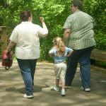 Usa: Il consumo di zucchero procapite arriva a 22 cucchiaini al giorno