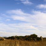 Sardegna, allevatori e contadini contro le trivelle della Saras