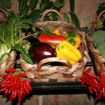 L'elisir di lunga vita? Sana agricoltura e corretta alimentazione