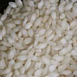 Ferrara, tornano le "Giornate del riso di Jolanda"