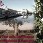 Malasanità in Calabria - Ma l'ospedale non dovrebbe curarci?