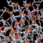 Ecco la fatostanita, la molecola che addormenta i geni del grasso