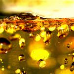 Mostra del Cinema di Venezia - Degustazione dello spumante biologico "Animae"