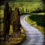 Le vacanze non finiscono mai!