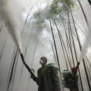 Veneto: Sequestrate 10 tonnellate di pesticidi illegali
