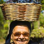 IL VINO OGGI: sta cambiando pelle, gusto, packaging, tappi...