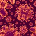 Così il virus dell'influenza A è diventato pandemico