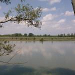 Legambiente - Puliamo il mondo e puliamo il fiume Po