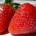 Bombetta di fragoloni e fichi d'India