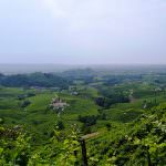Festival del Cinema - "Dieci Inverni", film girato tra le colline di Conegliano Valdobbiadene, terra del Prosecco Superiore