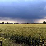 Coldiretti: "Estate 2009, grande caldo e violenti temporali"