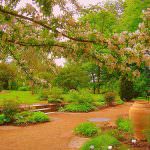 Francia: Straordinaria raccolta di miele dal tetto del Grand Palais