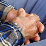 Finanziaria: La copertura relativa all'agricoltura è pressochè inesistente