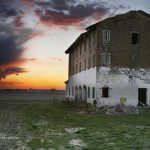 Ue: Riunione straordinaria dei Ministri dell'agricoltura per trovare una ricetta anticrisi per il settore latte