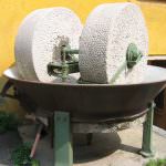 Olio extra vergine IGP: dobbiamo fidarci? Che garanzia ci dà?