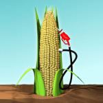 Assocostieri: dal 5 settembre sono entrate in vigore le agevolazioni per la produzione di bioetanolo