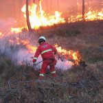 Continuano gli incendi sul territorio napoletano e in tutta la regione