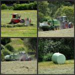 Cia: "L'Italia non può aderire alla richiesta Ue di restituire il bonus serre"