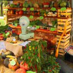 Quali strumenti utilizzare per la ripresa economica del settore ortofrutticolo?