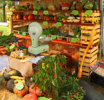 Quali strumenti utilizzare per la ripresa economica del settore ortofrutticolo?