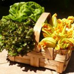 Bologna: Il Mercato della Terra diventa settimanale