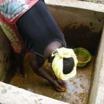 La Gran Bretagna vieta lo spot dell'olio di palma come prodotto sostenibile