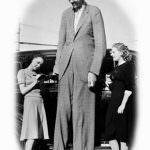 L'altezza è la chiave per la felicità