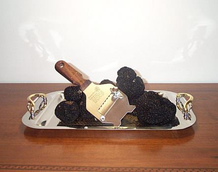 Arezzo, 31 gennaio: Presentazione del Premio Nazionale Boscovivo