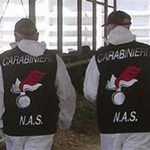 Aumentano le sofisticazioni alimentari. Il Codacons mette sotto accusa Comuni e Asl