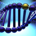 DNA: trovato il gene del dolore